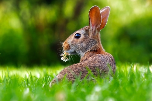 2019 Ostern 2019 Ostern